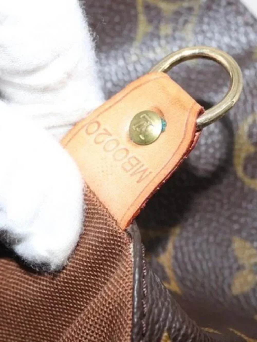 Louis Vuitton brand louis